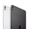 Apple iPad Pro 11 M4 2024 Wi-Fi 256GB Silver