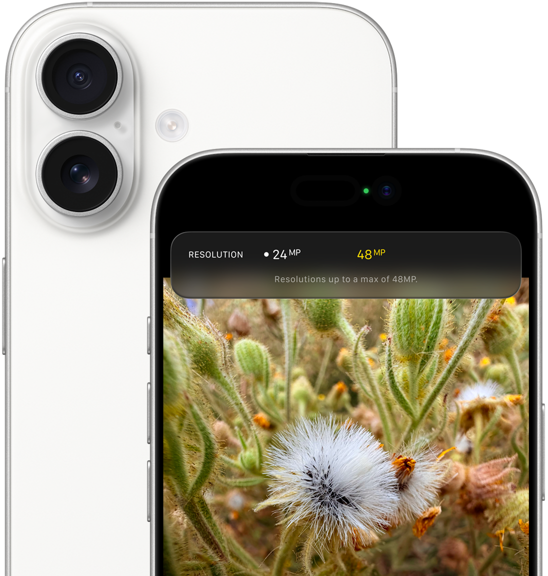 камера iPhone 17 48 Мп Dual Fusion